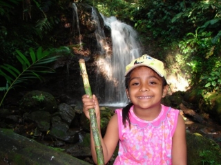  Hike through the tropical jungle 